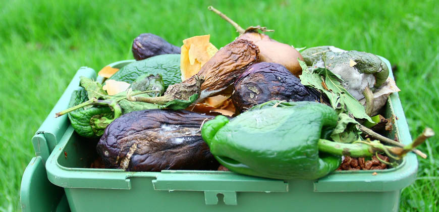 Food Processing & Catering Waste Water 1