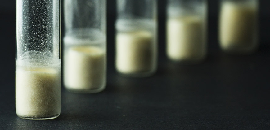 Chemical Ad-Mixtures for Building & Construction 1