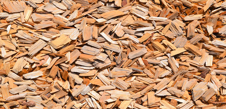 Wood Biomass in Chip Form 1