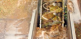 Fruit & Vegetable Processing Waste Water