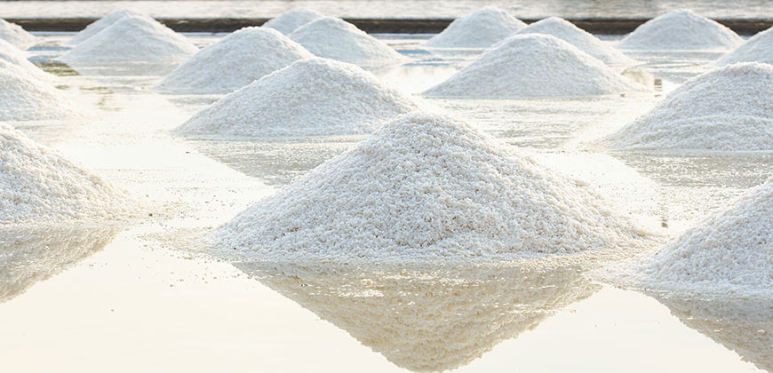 Salt Processing 1