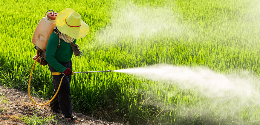 肥料、农药、杀虫剂化加工 2