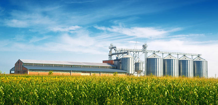 Grain Storage & Handling (in farms) 1