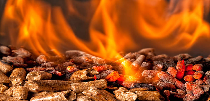 Wood Biomass in Pellet Form 1