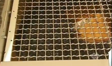 BINSWEEP Rotary Bin Dischargers - Media 1